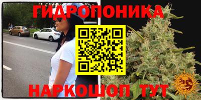 меф Кандалакша