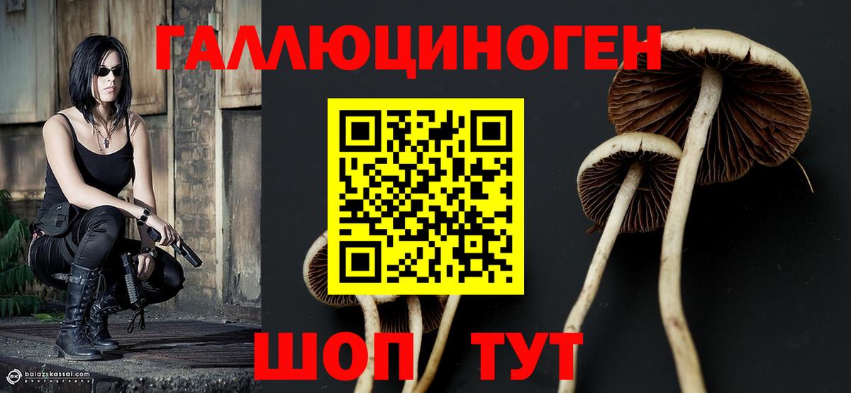 Куйбышев  Псилоцибиновые грибы Cubensis  Вход с VPN 